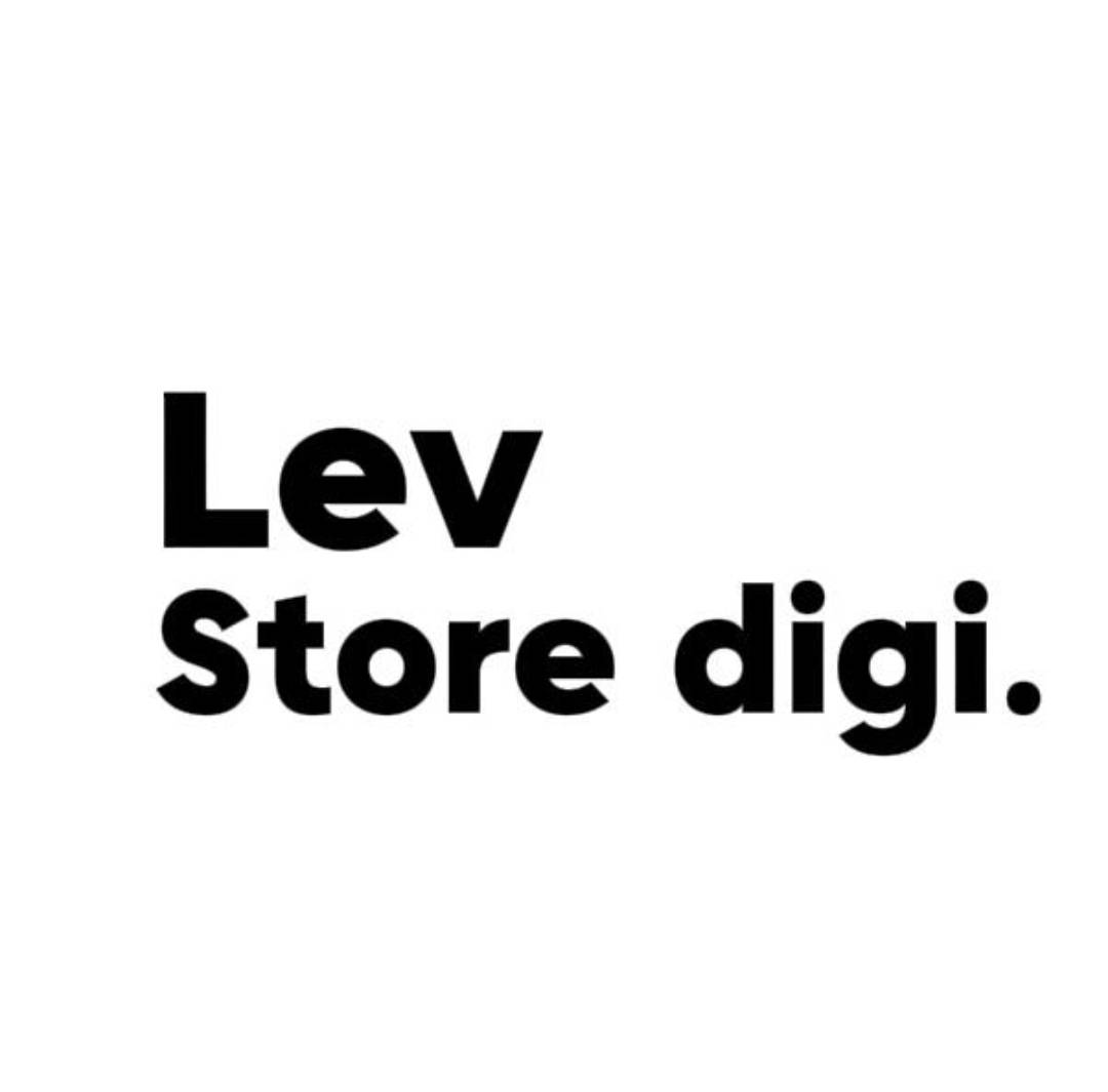LevStore logo